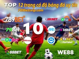 top 12 trang cá độ bóng đá uy tín tại Việt Nam hiện nay